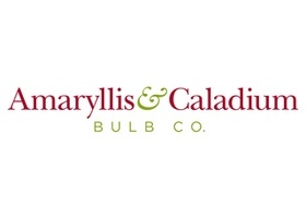 Amaryllis & Caladium Bulb Company
