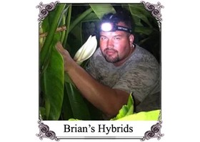 美国 Brian's Botanicals Logo