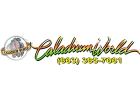 Caladium World Logo