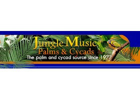 美国 Jungle Music Logo
