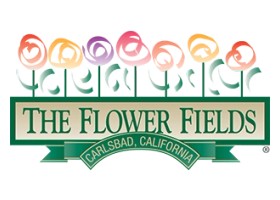 The Flower Fields