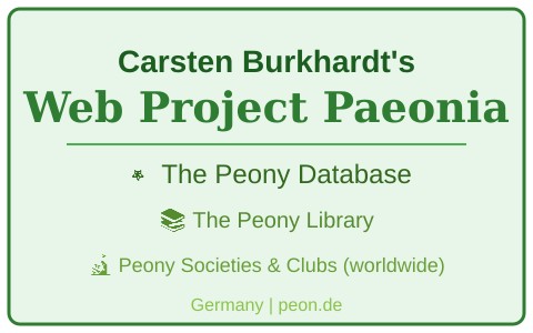 德国 Carsten Burkhardt Web Project Paeonia Logo