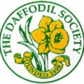 The Daffodil Society Logo