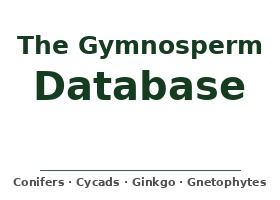 The Gymnosperm Database