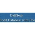DaffSeek 水仙花数据库 Daffodil Database with Photos