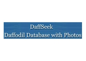 DaffSeek 水仙花数据库 Daffodil Database with Photos