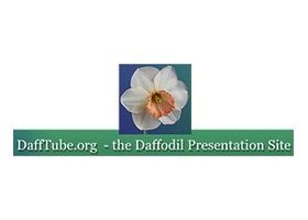 DaffTube 水仙花展示网站 (Daffodil Presentation Site)