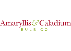 Amaryllis & Caladium Bulb Co. logo