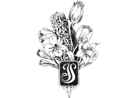 John Scheepers Beauty From Bulbs