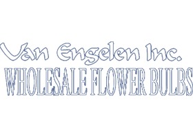 美国 Van Engelen 球茎批发公司
