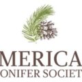American Conifer Society (ACS) wordmark logo with conifer branch and pinecone