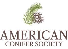 American Conifer Society (ACS) wordmark logo with conifer branch and pinecone