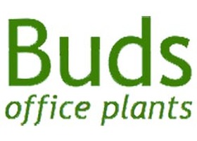 Buds Office Plants