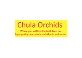 Chula Orchids wordmark - yellow background red text