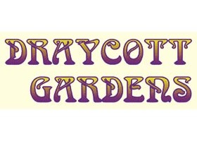 DRAYCOTT 花园, DRAYCOTT GARDENS