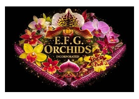 E.F.G. Orchids Incorporated