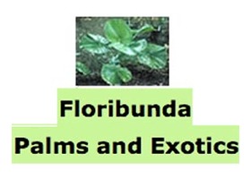 Floribunda Palms and Exotics Logo