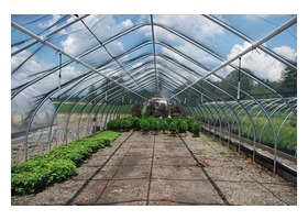 Gothic Arch commercial greenhouse gable