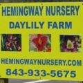 Hemingway Nursery daylily farm sign with daylily cultivar photos