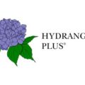 美国 Hydrangeas Plus 绣球花专类容器苗圃 Logo