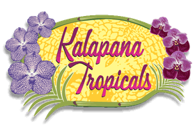 Kalapana Tropicals logo
