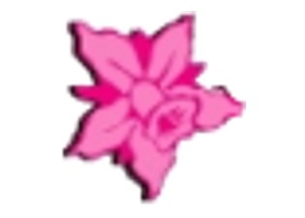 Exotic Orchids of Maui logo - pink watercolor Cattleya