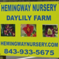 Hemingway Nursery 苗圃招牌