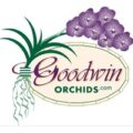 Goodwin Orchids 兰花苗圃 logo
