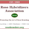 Rose Hybridizers Association (RHA) - Founded 1969