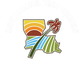 路易斯安那鸢尾农场 Louisiana Iris Farms