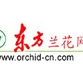 东方兰花网 Orient Orchid Net — 中文艺兰文化知识平台 logo (绿色兰花图章 + 红色书法"东方" + 红色衬线"兰花网" + 黑色域名)