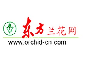 东方兰花网 Orient Orchid Net — 中文艺兰文化知识平台 logo (绿色兰花图章 + 红色书法"东方" + 红色衬线"兰花网" + 黑色域名)