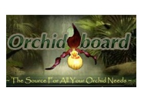 Orchid Board Logo