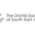 Orchid Society of South East Asia (OSSEA) logo