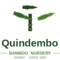 夏威夷Quindembo竹子苗圃,Quindembo Bamboo Nursery