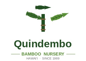 夏威夷Quindembo竹子苗圃，Quindembo Bamboo Nursery