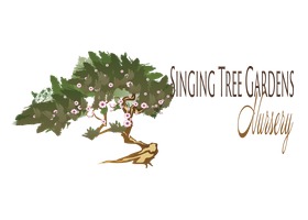 美国 唱歌树花园苗圃 (Singing Tree Gardens Nursery)