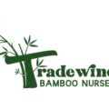美国Tradewinds竹子苗圃,Tradewinds Bamboo Nursery