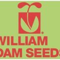 加拿大 William Dam Seeds 威廉大坝种子公司
