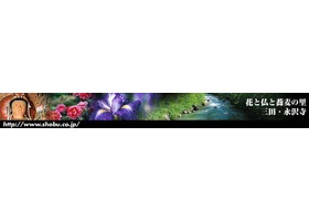 日本永泽寺花菖蒲园