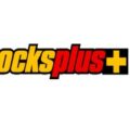 Rocks Plus 岩石景观公司 logo