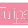 野生郁金香网站 Tulips in the Wild