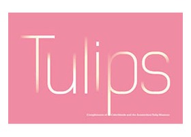 野生郁金香网站 Tulips in the Wild