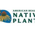 美国 美丽的本土植物 American Beauties Native Plants