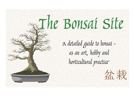 美国 盆景网 BonsaiSite.com
