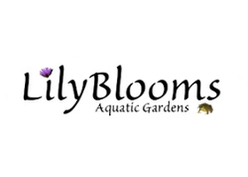 百合花水生植物花园 Lilyblooms Aquatic Gardens
