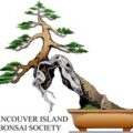 温哥华岛盆景协会 Vancouver Island Bonsai Society