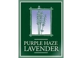 紫色迷雾薰衣草农场 Purple Haze Lavender Farm