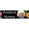 罗斯兰苗圃 Roseland Nursery