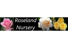 罗斯兰苗圃 Roseland Nursery